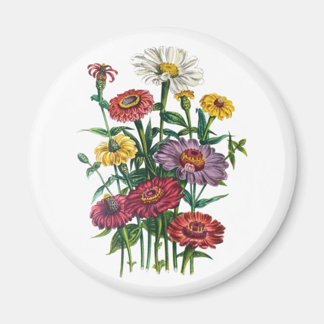 Blumenkarneval Magnet (Vorne)