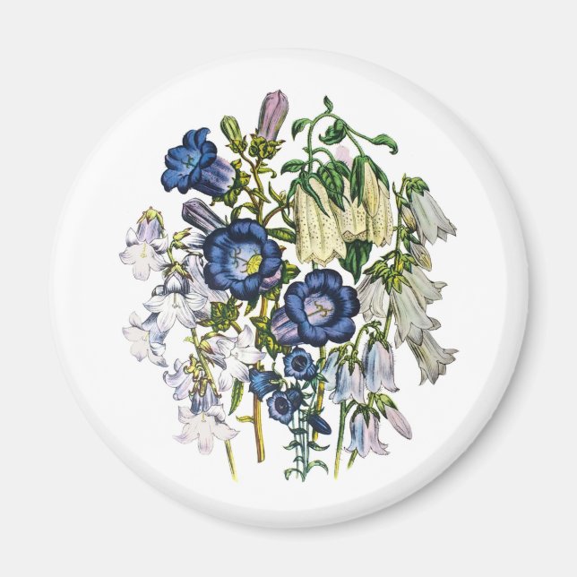 Blumenkarneval Magnet (Vorne)