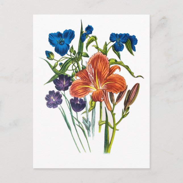 Blumenkarneval Postkarte (Vorderseite)