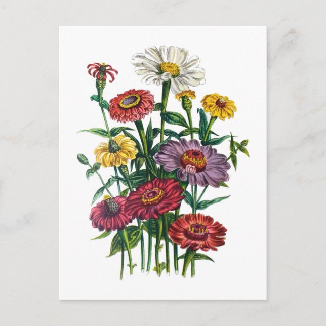 Blumenkarneval Postkarte (Vorderseite)