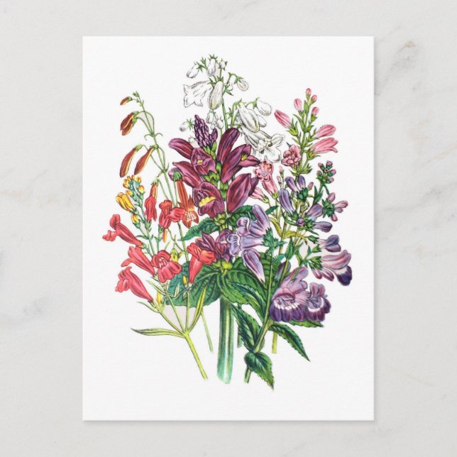 Blumenkarneval Postkarte (Vorderseite)