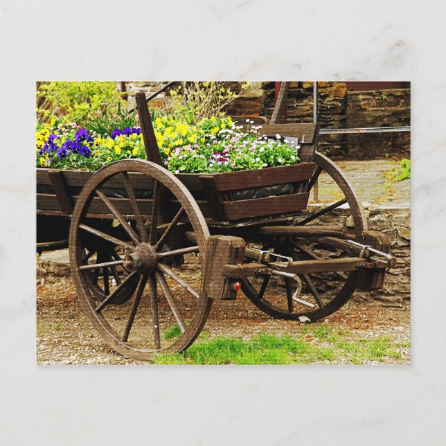 Blumenkarren Postkarte (Vorderseite)