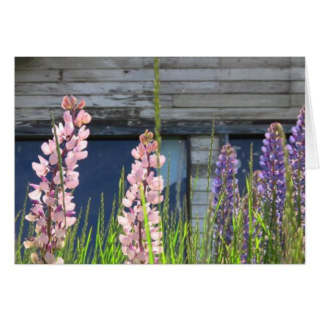 Blumenkarte (Vorderseite (Horizontal))