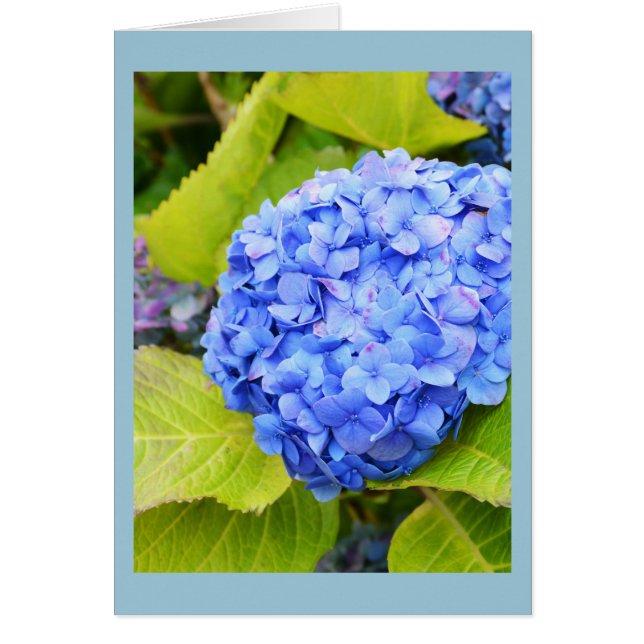 Blumenkarte (Vorne)