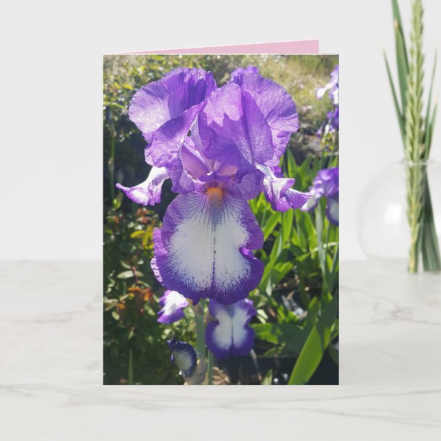 Blumenkarte mit blauer und weißer Bartentasche für Karte (Vorderseite)