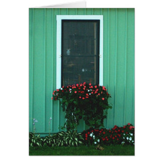 Blumenkasten von Impatients