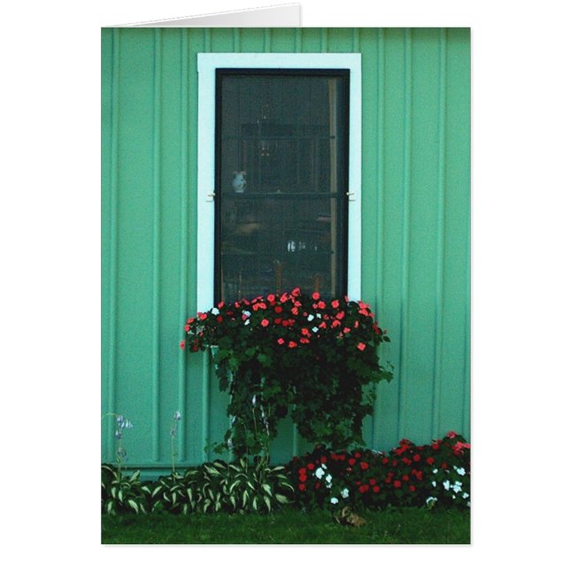 Blumenkasten von Impatients (Vorne)