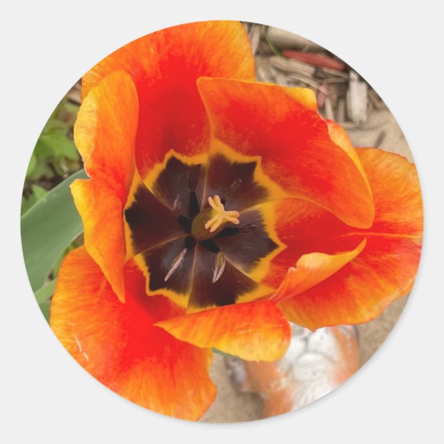 Blumenkleber Runder Aufkleber (Vorderseite)