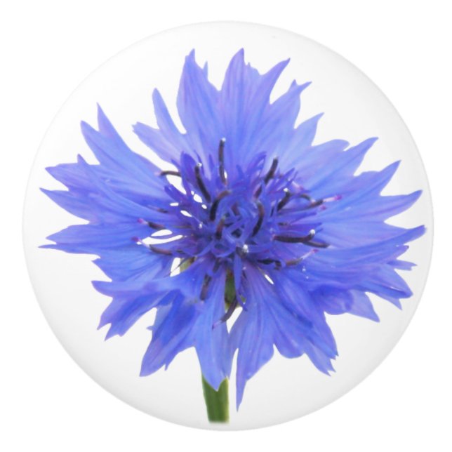 Blumenknöpfe Keramikknauf (Vorderseite)