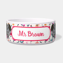 Blumenkohl-Foto Napf