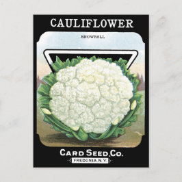 Blumenkohl-Packung Weißer Gemüsegarten Postkarte