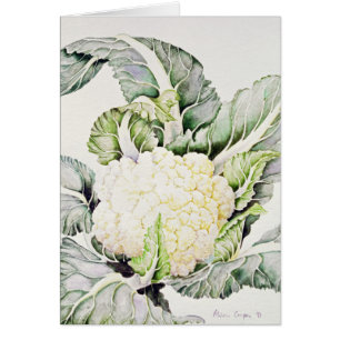 Blumenkohl-Studie 1993