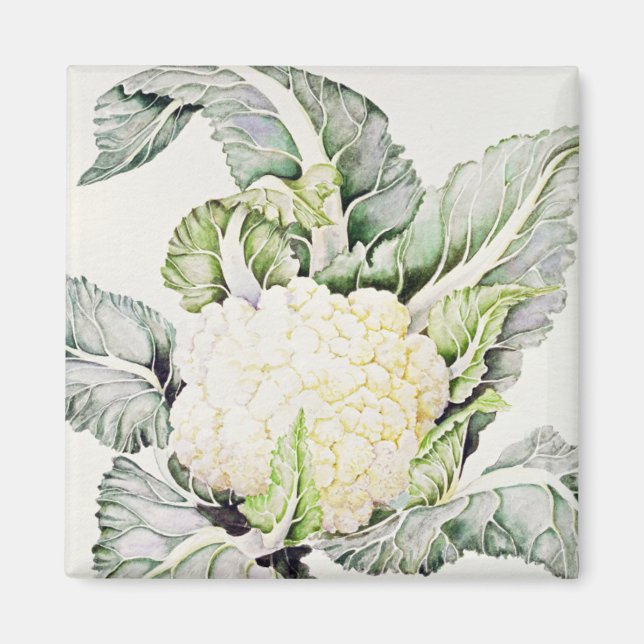 Blumenkohl-Studie 1993 Magnet (Vorne)