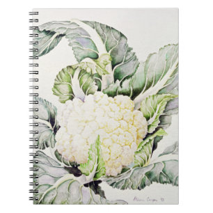 Blumenkohl-Studie 1993 Notizblock