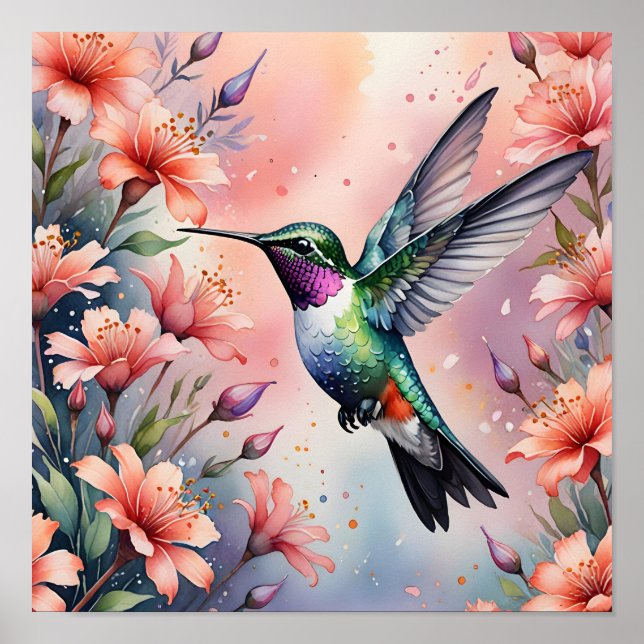 Blumenkolibri-Plakat Poster (Vorne)
