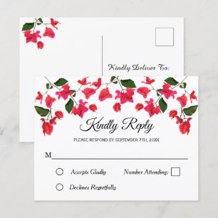 Blumenladen Postkarte mit Bougainvillea UAWG