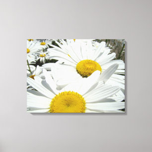 Blumenleinwand Kunst Drucke Weiße Margeriten Blume