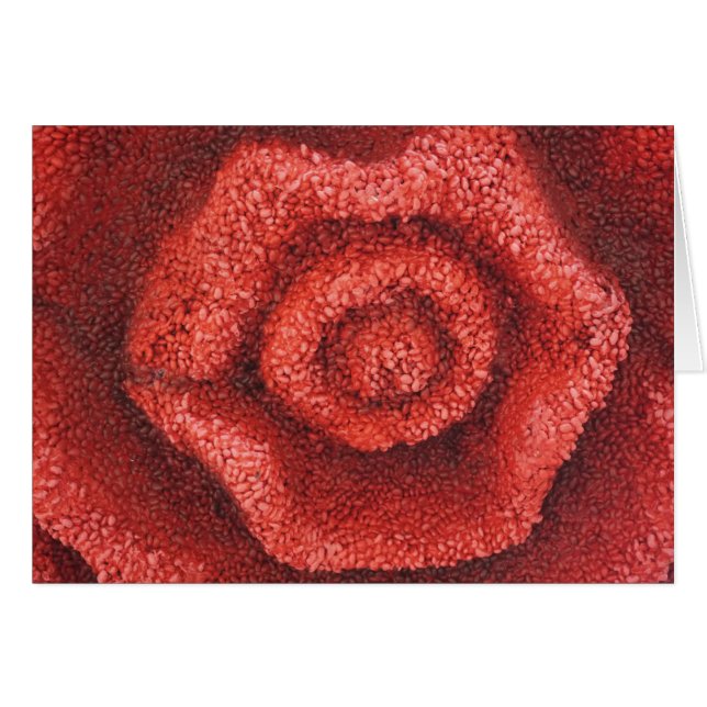 Blumenlippen (Vorderseite (Horizontal))