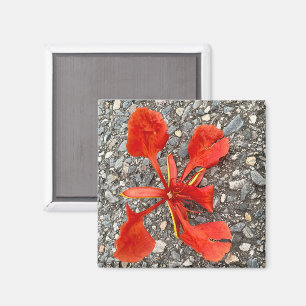 Blumenmagnet Magnet