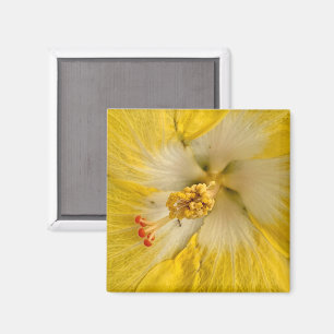 Blumenmagnet Magnet