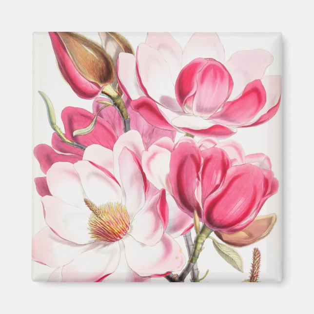 Blumenmuster-Magnet Magnet (Vorne)