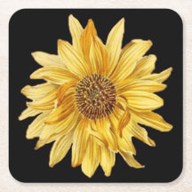 Blumenmuster, Sonnenblumen, schwarzer Hintergrund