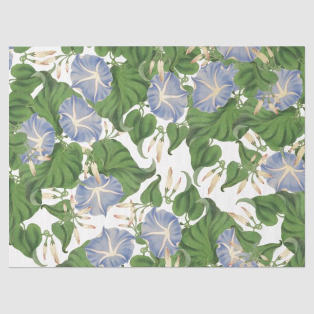 Blumenpapier der botanischen Morning Glorie Blume Seidenpapier (Vorderseite)