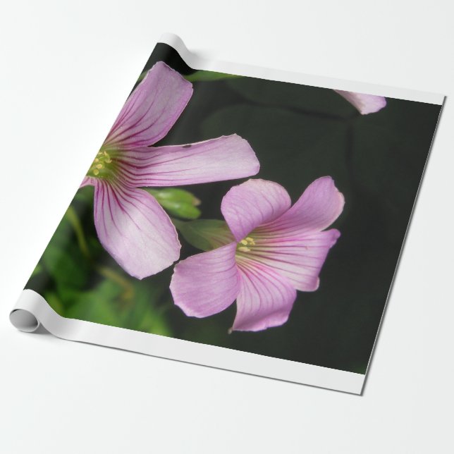 Blumenpapier Geschenkpapier (Ungerollt)