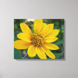 Blumenperfektion in Gelb Leinwanddruck
