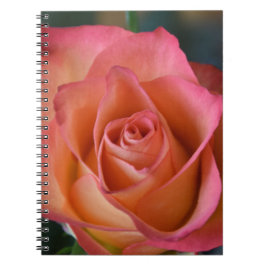 Blumenpfirsichrosa Rose Journal oder Notebook Notizblock