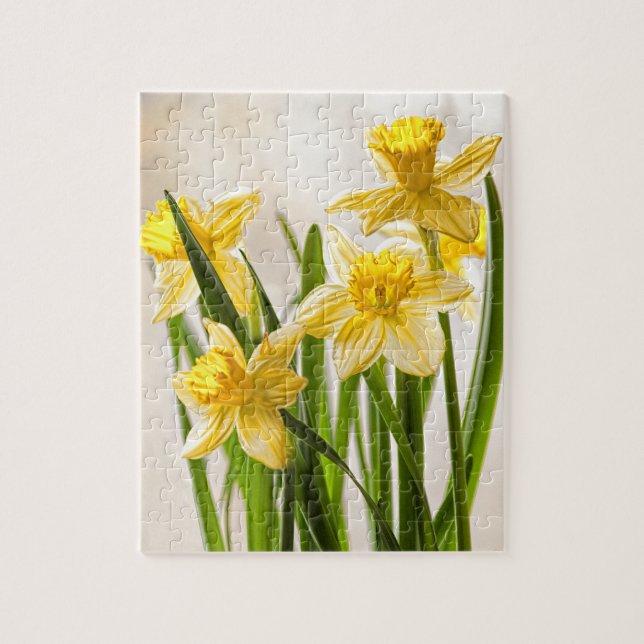 Blumenphotographie:  Gelbe Frühlings-Narzissen (Vertikal)