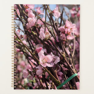Blumenplaner Planer