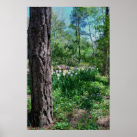 Blumenposter - 1