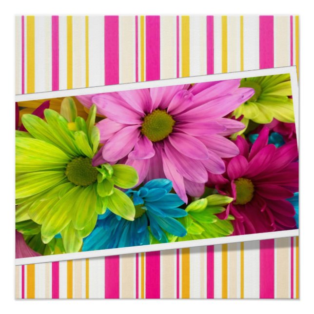 Blumenposter Poster (Vorderseite)