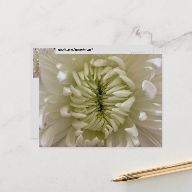 Blumenpostkarte Postkarte (Vorderseite/Rückseite Beispiel)