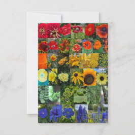 Blumenregenbogen  mitteilungskarte