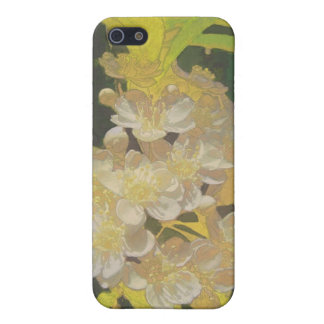 Blumenrhapsodie im Gold und im Weiß iPhone 5 Etui