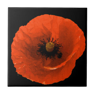 Blumenroter Mohn Blume Schwarz Benutzerfreundliche Fliese