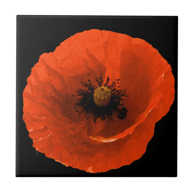 Blumenroter Mohn Blume Schwarz Benutzerfreundliche Fliese (Vorderseite)
