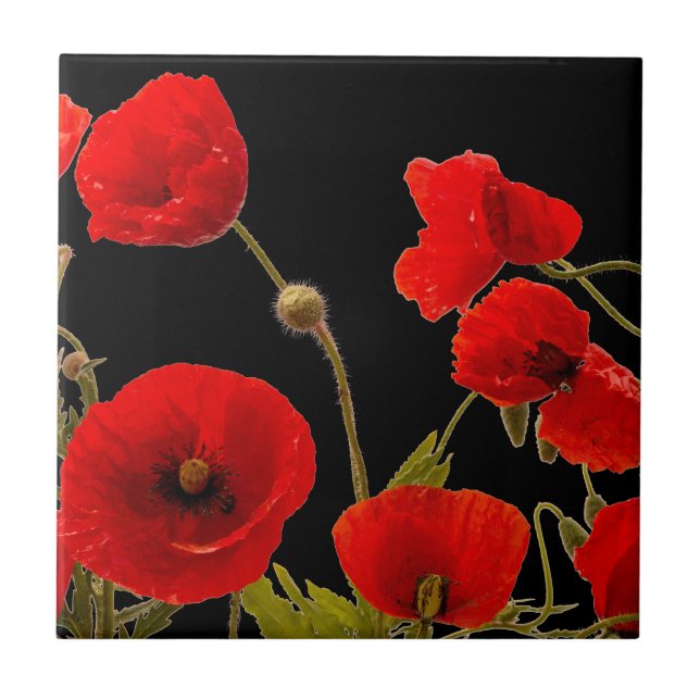 Blumenroter Mohn Blume Schwarzer Hintergrund farbi Fliese (Vorderseite)