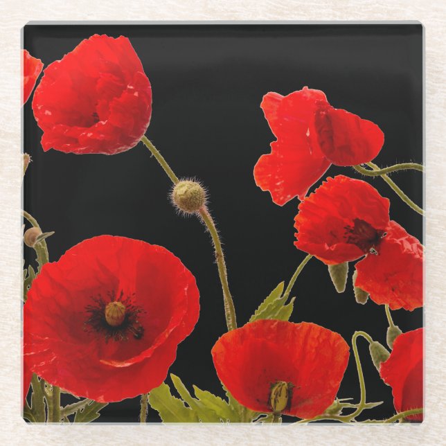 Blumenroter Mohn Blume Schwarzer Hintergrund farbi Glasuntersetzer (Vorderseite)