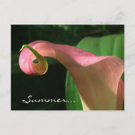 Blumensommersonne Party Einladung