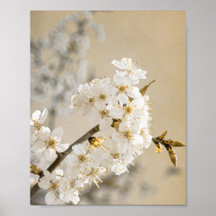 Blumenspisper Tapestyle entfaltet Kirschblüten Poster