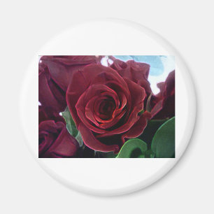 BLUMENSTRAUSS DER ROSEN MAGNET