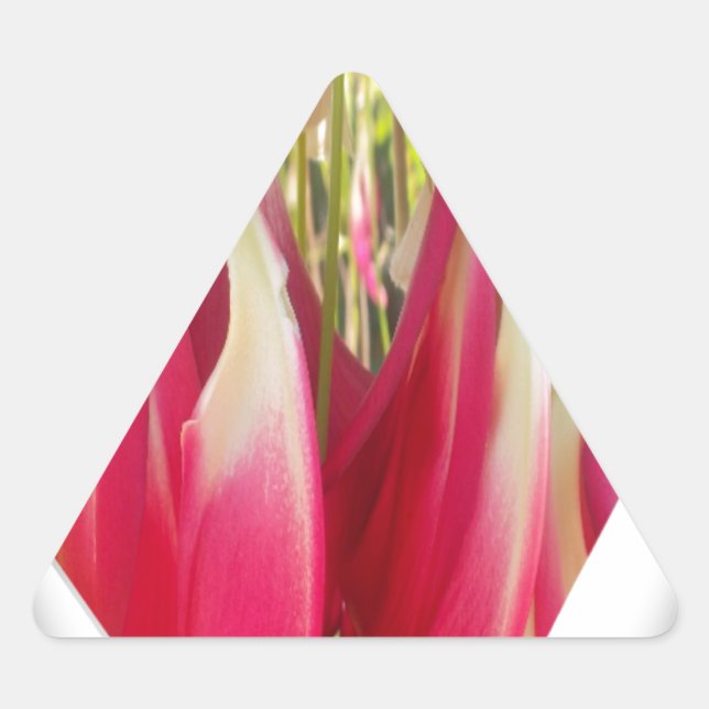 Blumenstrauß Dreieckiger Aufkleber (Vorderseite)