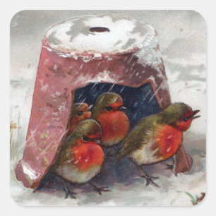 Blumentopf Birdhouse für Europäische Robins Quadratischer Aufkleber