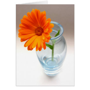 Blumenübersicht