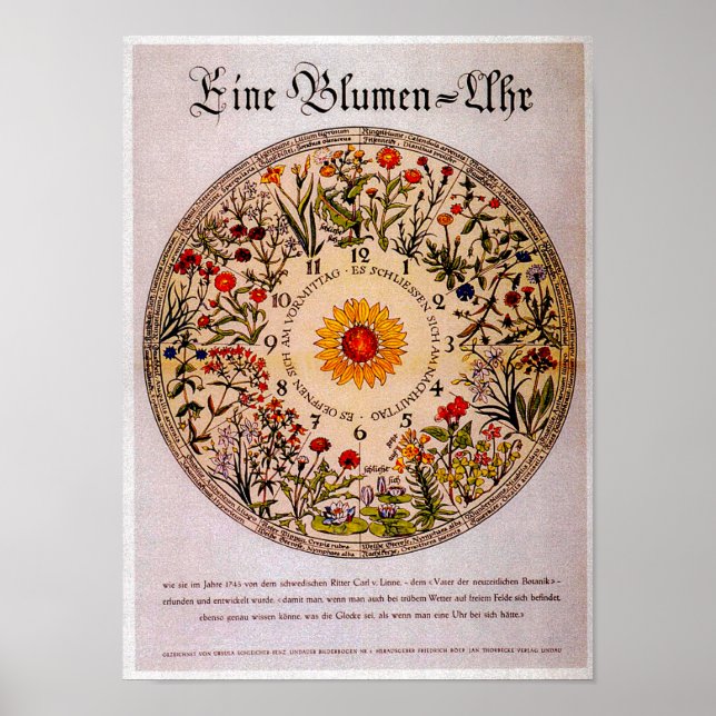 Blumenuhr-Blume Uhr Vintage Kunst Poster (Vorne)