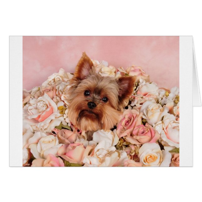 Blumenwelpe (Vorderseite (Horizontal))