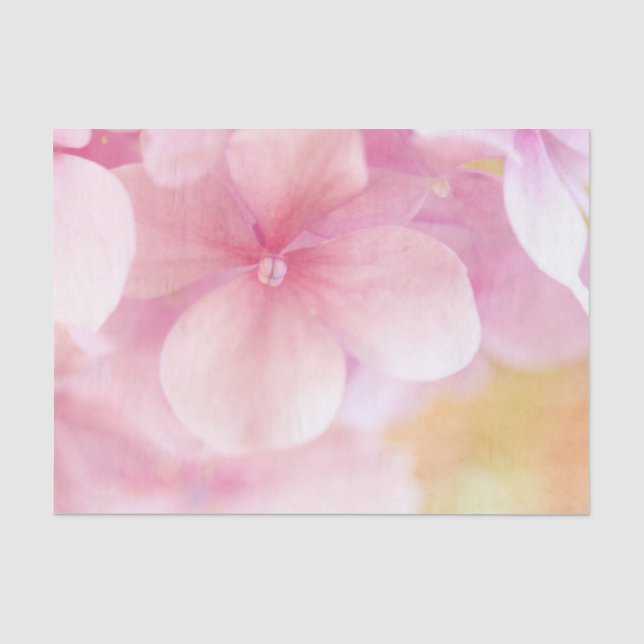Blumenzettel Florist Pink Blume Seidenpapier (Vorderseite)
